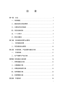 扶贫大棚养鸭项目可行性研究报告