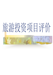 投资项目分析