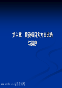 投资项目多方案比选与排序