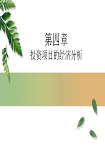 投资项目的经济分析（PPT37页)