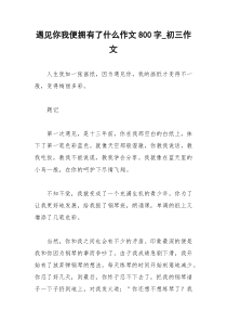 2021年遇见你我便拥有了什么作文字初三作文