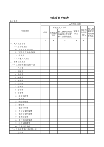 支出项目明细表