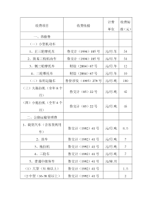 收费项目