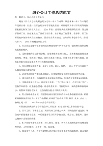 细心会计工作总结范文