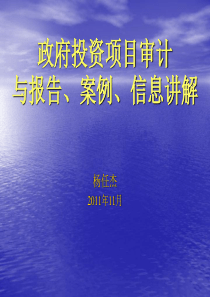 政府投资项目审计与报告、案例、信息讲解