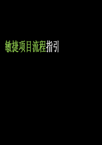 敏捷开发项目流程指引_很好（PPT36页)