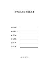 教学团队建设项目任务书