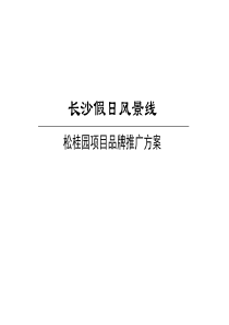 长沙假日风景线松桂园项目品牌推广方案