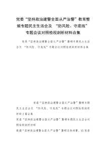 党委“坚持政治建警全面从严治警”教育整顿专题民主生活会及 “防风险、守底线”专题会议对照检视剖析材料