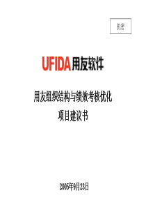 新华信用友组织结构与绩效优化项目建议书