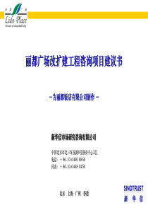 新华信－《×××机场改建咨询项目建议书》（PPT 103页）