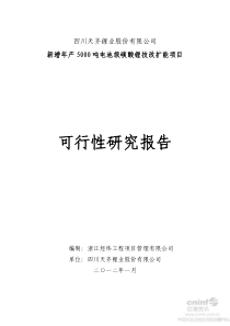 新增年产5000吨电池级碳酸锂技改扩能项目可行性研究报告