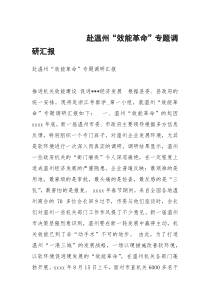 赴温州“效能革命”专题调研汇报