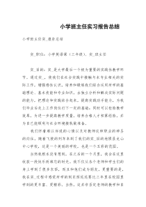 小学班主任实习报告总结