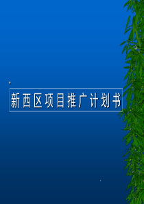 新西区项目推广计划书ppt38(1)