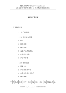 新项目开发计划（DOC 10页）