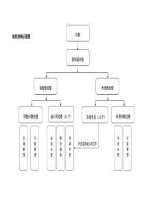 新飞项目组织结构示意图