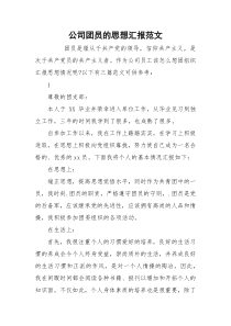 公司团员的思想汇报范文