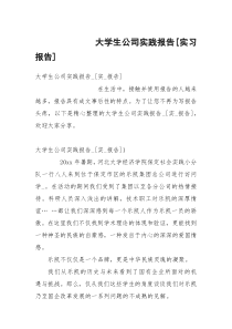 大学生公司实践报告[实习报告]