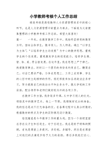 小学教师考核个人工作总结