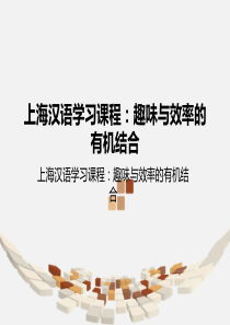 上海汉语学习课程：趣味与效率的有机结合