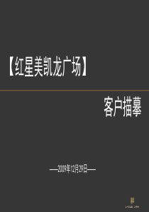 易居_天津红星美凯龙广场综合体项目客户描摹_21PPT