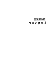 星河商业城项目定位报告(doc63)(1)