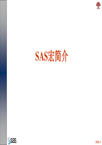 12.-SAS宏简介