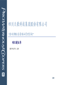 普华永道为某集团咨询全案普华永道项目建议书