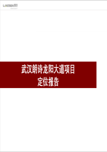 朗诗武汉龙阳大道项目定位报告投资环境客户101185904