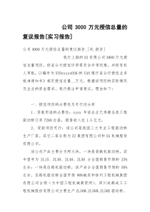 公司3000万元授信总量的复议报告[实习报告]