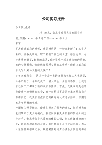 公司实习报告_1