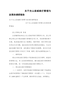 关于光山县城路灯管理与改革的调研报告