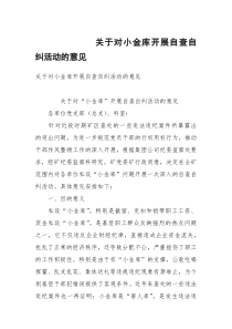 关于对小金库开展自查自纠活动的意见