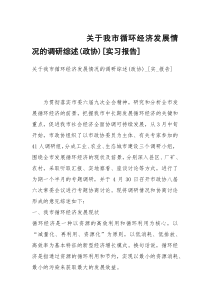 关于我市循环经济发展情况的调研综述(政协)[实习报告]