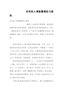 农民收入调查暑期实习报告