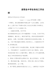 县职业中学总务处工作总结