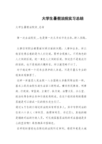 大学生暑假法院实习总结