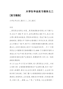 大学生毕业实习报告之二[实习报告]