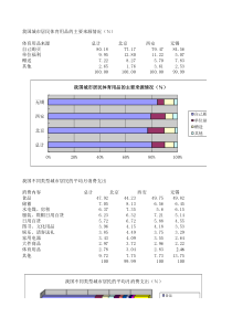 李宁公司项目报告