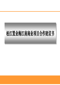 松江置业梅江南商业项目合作建议书ppt65(1)