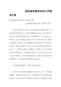 组织络投票活动的工作情况汇报