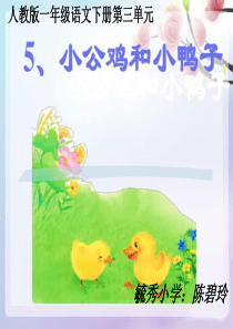 小公鸡和小鸭子公开课