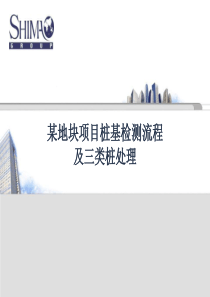 某地块项目桩基检测流程及三类桩处理