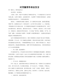 对顶撞领导表态发言