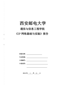 IP网络实验报告模板(1)