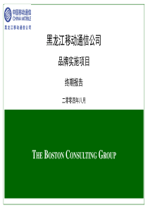 某电信运营商品牌实施项目报告-BCG