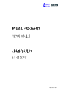 某电信运营商渠道资源整合项目建议书