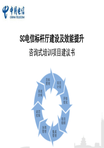 标杆厅打造及效能提升咨询培训项目规划(SC电信营业厅转