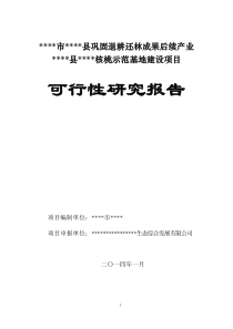 核桃巩固退耕还林后续项目可研报告